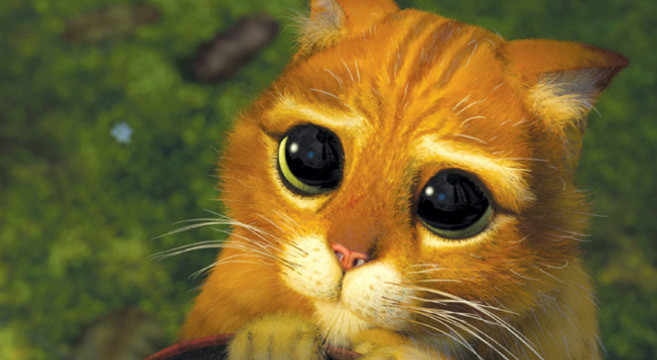 Email Marketing - gatto Shrek